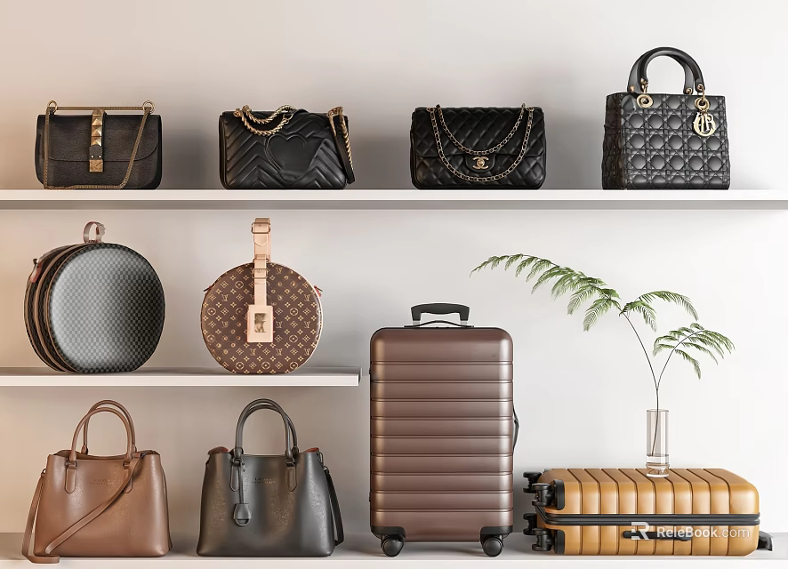 Stylish Bags And Suitcases On Shelves With Various Styles And Decorative Plant 3d model 