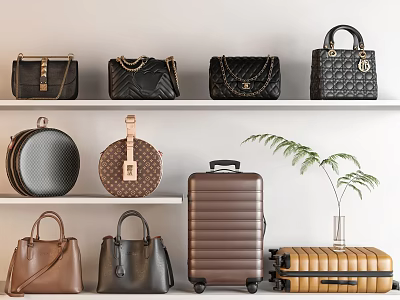 Stylish Bags And Suitcases On Shelves With Various Styles And Decorative Plant 3d model