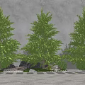 Three Green Arbor Trees With Stones And Grass Against Gray Wall
