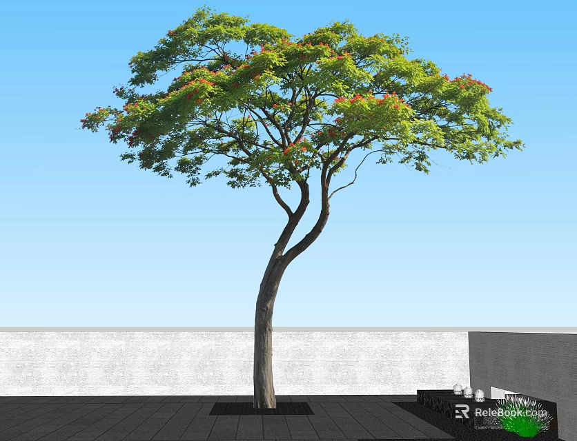 Slender Trunk Arbor in Black Planter with Green Leaves Red Flowers Patio Blue Sky 3d model 