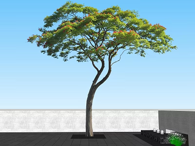 Slender Trunk Arbor in Black Planter with Green Leaves Red Flowers Patio Blue Sky 3d model