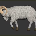White Sheep with Curved Large Horns Standing on Dark Background with Reflection 3d model