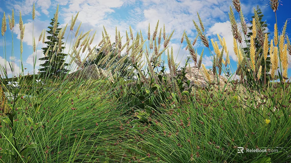 Tall Grasses And Green Foliage In Garden With Blue Sky And White Clouds 3d model 