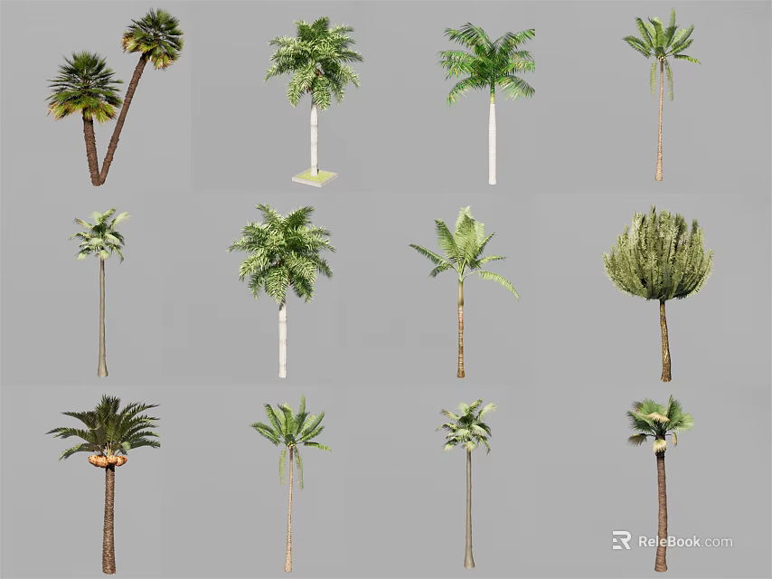 Various Arbor Species Featuring Diverse Foliage Shapes And Trunk Designs 3d model 