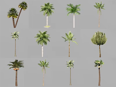 Various Arbor Species Featuring Diverse Foliage Shapes And Trunk Designs 3d model