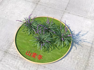 Liriope Plants With Purple Flowers On Circular Lawn With Wooden Border 3d model