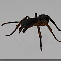 3D Model Black and Red Ant with Detailed Legs and Antennae on Gray Background