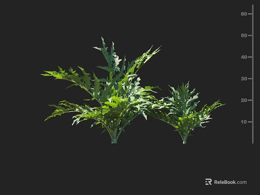 Lush Green Leafy Crops With Healthy Growth And Measured Plant Height In Cultivation 3d model 