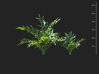 Lush Green Leafy Crops With Healthy Growth And Measured Plant Height In Cultivation 3d model