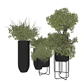 Stylish Bonsai Potted Plants in Black Planters with Metal Stands for Indoor Decor