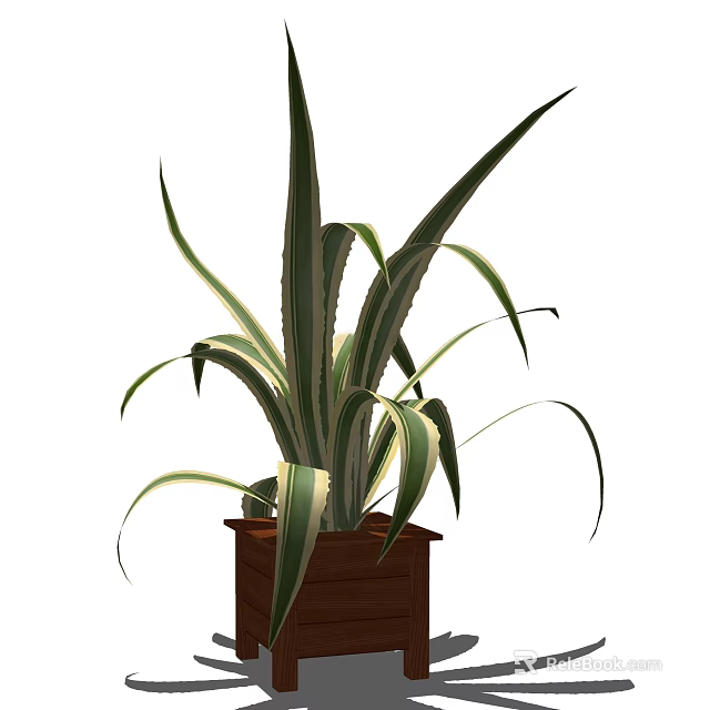 Bonsai Potted Plant With Long Green And White Striped Leaves In Brown Wooden Pot 3d model 