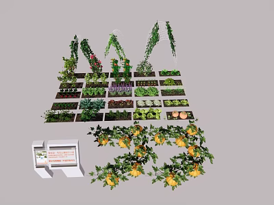 Diverse Agricultural Crops Plantation With Organized Beds Various Vegetables Vertical Vines And Display Stand 3d model