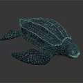 Detailed Dark Colored Turtle With Textured Shell And White Spotted Flippers 3d model