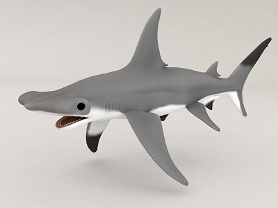 Shark Seafood Marine Hammerhead Shark 3d model