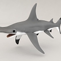 Shark Seafood Marine Hammerhead Shark 3d model