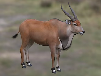 Modern African Oryx Eelan Antelope Giant Antelope Big Horned Impala Animal Creatures 3d model