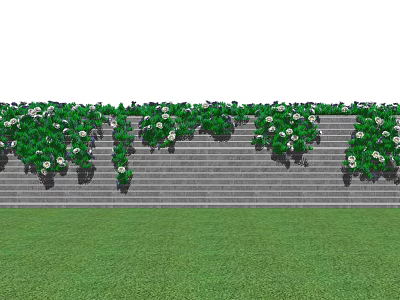 Vines With White Flowers Growing On Stone Steps And Green Lawn 3d model