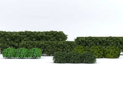 Diverse Sizes and Shapes of Lush Green Shrubs for Garden Landscape Design 3d model