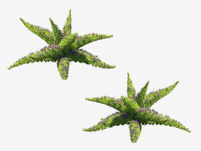 Two Star Shaped Shrubs With Green Leaves And Purple Flowers For Garden Decor 3d model