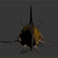 Vibrant Yellow Orange Catfish With Black Fins Tail Open Mouth And Whiskers On Gray Background