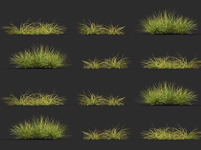 Multiple Green Grass Clusters With Various Shapes Arranged On Black Background 3d model