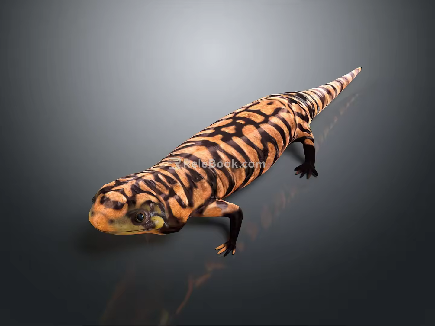 Lizard Anime Lizard Chameleon Cartoon Lizard Reptile Cold Blooded Animal Reptile Class 3d model