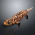 Lizard Anime Lizard Chameleon Cartoon Lizard Reptile Cold Blooded Animal Reptile Class 3d model