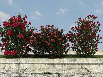 Colorful Flower Bushes With Red Pink Roses Against Blue Sky White Clouds And Stone Border 3d model