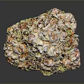 Vibrant Cannabis Bud Featuring Green Purple Orange Hues And Trichome Covered Surface