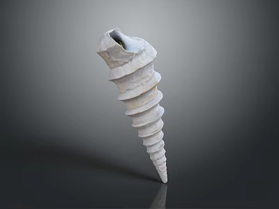 Conch Marine Animal With Spiral White Shell And Detailed Texture Isolated On Dark Background 3d model