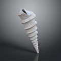 Conch Marine Animal With Spiral White Shell And Detailed Texture Isolated On Dark Background