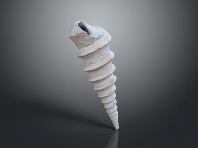 Conch Marine Animal With Spiral White Shell And Detailed Texture Isolated On Dark Background 3d model