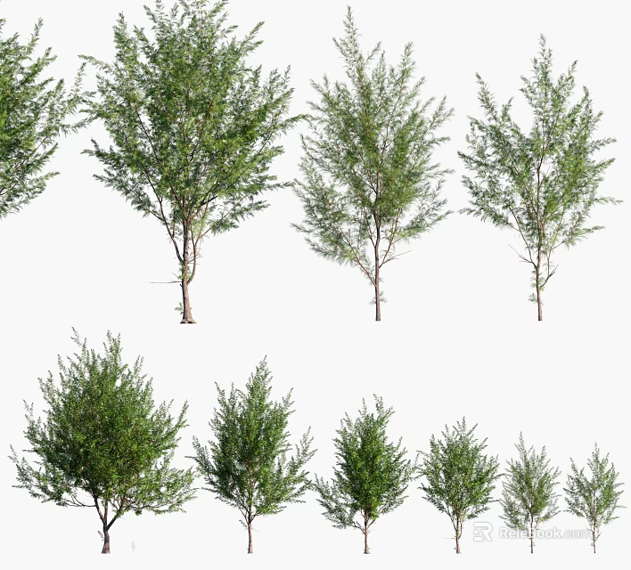 Various Green Arbor Trees with Different Crown Shapes and Heights for Landscape Design 3d model 
