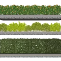 Layered Arrangement of Trimmed Hedge Shrub Varieties for Landscaping Design