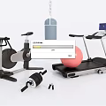 Essential Home Sports Equipment Including Stationary Bike Treadmill Punching Bag Exercise Ball And Dumbbells