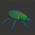 3D Rendered Green Beetle with Yellow Accents Shiny Body Long Antennae and Black Eyes