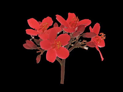 Bright Red Flowers with Multiple Petals in Vase against Black Background with Stem and Buds 3d model