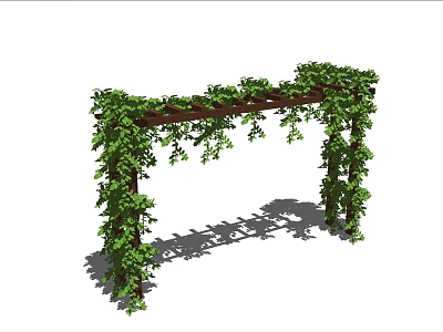 Lush Green Climbing Vines Covering Wooden Arch With Hanging Foliage Creating Natural Shade 3d model