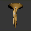 Golden Heart Shaped Horn with Shiny Surface on Dark Background