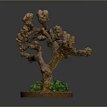Decorative Tree Plant With Brown Trunk Branches And Green Leaves On Round Base