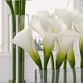 White Calla Lilies in Transparent Glass Vases with Green Leaves and Natural Light