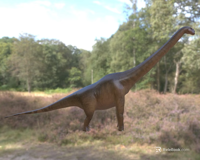 Large Reptile Dinosaur With Long Neck In Natural Forest Grassland Habitat 3d model 
