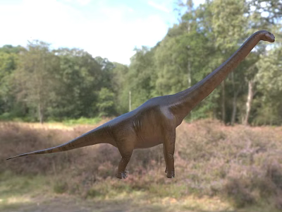 Large Reptile Dinosaur With Long Neck In Natural Forest Grassland Habitat 3d model