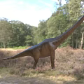 Large Reptile Dinosaur With Long Neck In Natural Forest Grassland Habitat