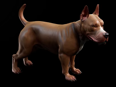 Reptile Lizard With Brown Skin Standing Against Black Background Studio 3d model