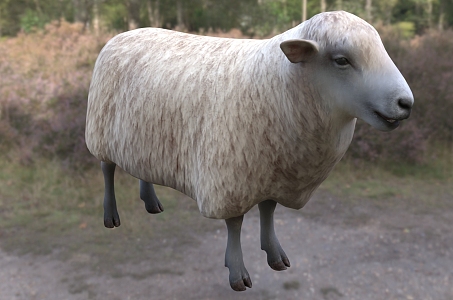 Modern Elio Generation Sheep Animal Creatures 3d model