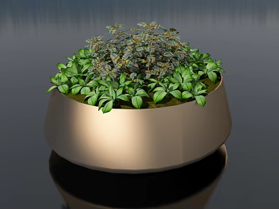 Bonsai Potted Plant in Golden Round Pot with Fresh Green Leaves and Mixed Foliage 3d model
