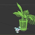 Bonsai Potted Plant with Large Green Leaves in Wooden Pot and Small Companion Plant