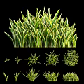 Lush Green Herb Plants With Diverse Leaf Shapes And Round Foliage For Garden