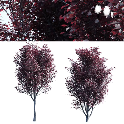 Tree 3d model Tree 3d model